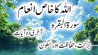 Surah Baqarah Last 2 Verses | beautiful Quran recitation
