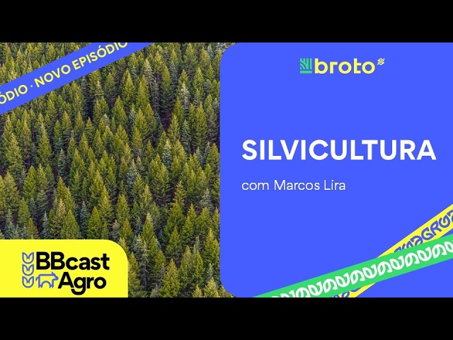 Silvicultura: florestas plantadas, mercado externo e tarifas dos EUA | BBCast Agro – 29/09/2026