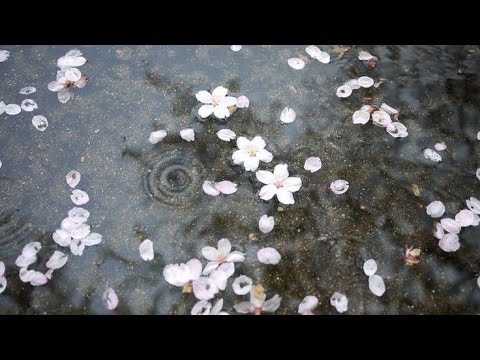 ׂׂૢ çekici bakışlar - sağlıklı ve istenen gözler subliminal