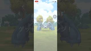 ポケモンGOレイドバトルメタグロスゲットできたかな？ #ポケgo #pokemongo #ポケモンgo #pokemon #ポケゴー #ポケモン #shorts#short #メタグロス