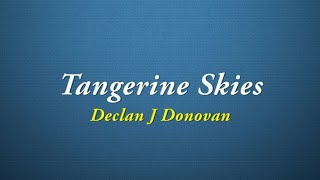 Declan J Donovan - Tangerine Skies [Quality Lyrics]