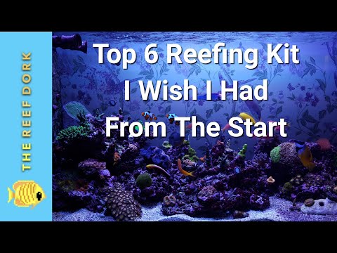 Top 6 Reefing Equipment I Wish I Had From The Start