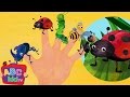 Finger Family (Insects Version) | CoComelon Nursery Rhymes & Kids Songs