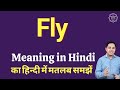 Fly meaning in Hindi | Fly ka kya matlab hota hai | daily use English words