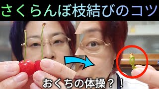 さくらんぼ の 茎 を 舌 で 結ぶ Watch Hd Mp4 Videos Download Free さくらんぼ の 茎 を 舌 で 結ぶ Watch Hd Mp4 Videos Download Free