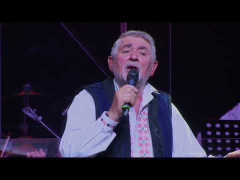 Radisa Urosevic i Orkestar Aleksandra Sofronijevica - Gina (OFFICIAL VIDEO)