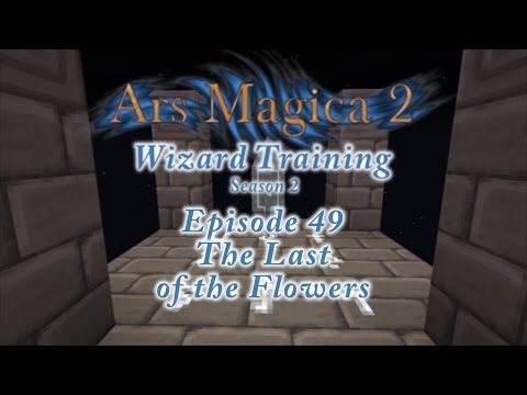 Unbelievable Wizard Training in Season 2! Watch Now!
