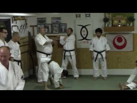 JOSHINKAN ISSHINRYU KARATE KOBUDO ASSOCIATION 1/4 - Intro