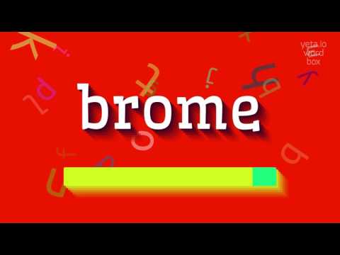 How to say "brome"! (High Quality Voices)