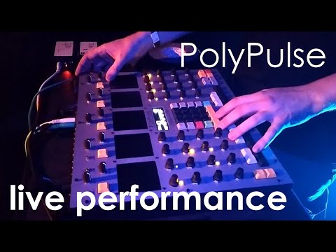 Ward Slager performing live with the PolyPulse