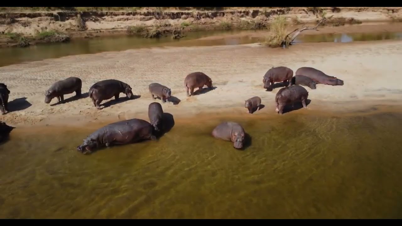 Discover Tintswalo Siankaba