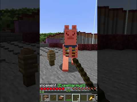 SchwagZ - Getting 1000 Minecraft Advancements Part Five #shorts