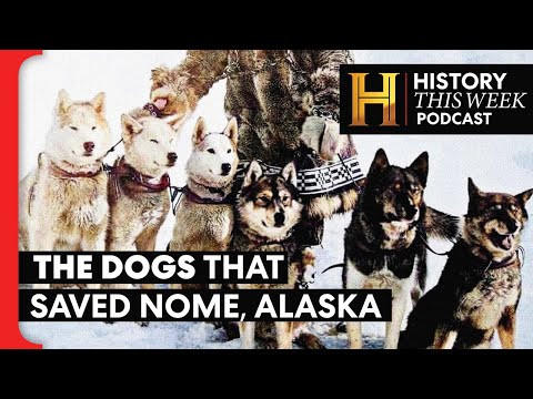 Balto, Togo, and the Blizzard Run That Stopped an Epidemic | HISTORY This Week