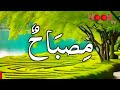 99 Names Of Muhammad ﷺ NOOR TV