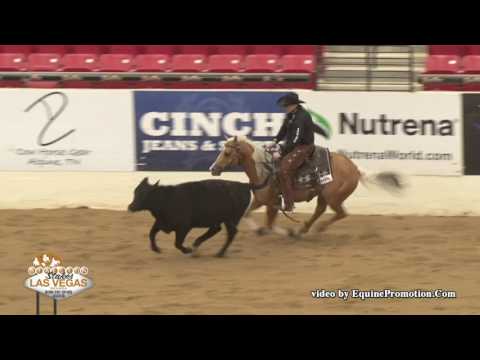 Cashed My CD ridden by Jay McLaughlin  - 2017 NRCHA Stallion Stakes (Cow Work, Open)