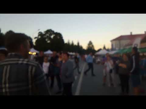 Zilele orașului Săliște jud Sibiu Romania Transilvania