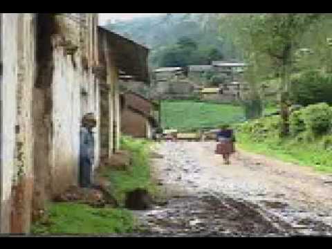 A  CAMARA Y EL GRUPO SEMILLA (TUNANTE)