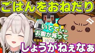 【ホロ金策サバイバル2】ししろんに恒例のおねだりをするころさん【ホロライブ戌神ころね切り抜き】