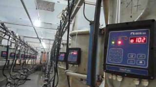 preview picture of video 'InterPuls iMilk500 on a Milking Machine in China.wmv'