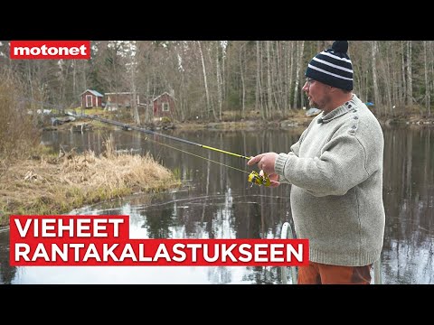 Parhaat vieheet rannalta kalastukseen