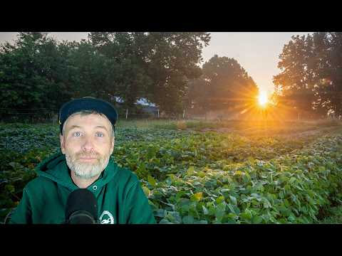 Half of All Life on Earth is Above You + Inside My Harvest Stations