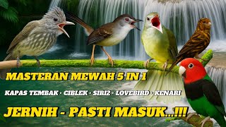 Download lagu MASTERAN KOMBINASI 5 IN 1 SUARA JERNIH - KAPAS TEMBAK , CIBLEK , SIRI-SIRI , LOVEBIRD , KENARI mp3