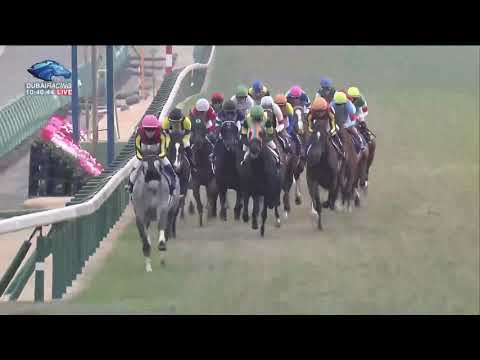 2019.12.22 Arima Kinen (The Grand Prix) (JPN) - Lys Gracieux