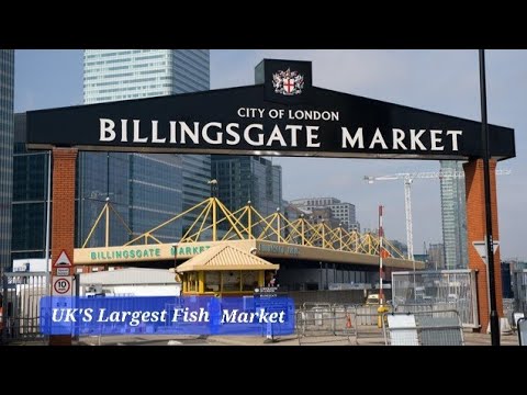 UK"S Largest Fish Market/ Billingsgate London
