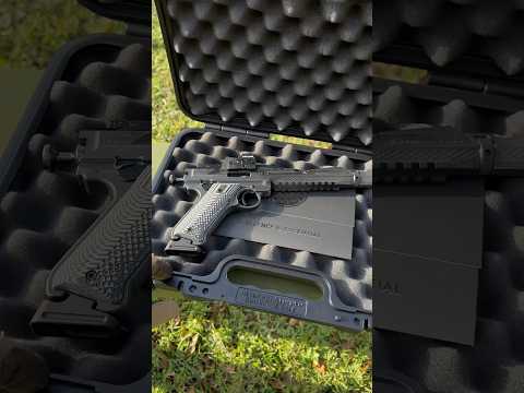 Best 22lr pistol in the world (Volquartsen Black Mamba)