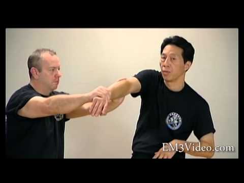 Wing Chun Vol 3 BIU GEE by Samuel Kwok