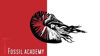 How to find fossils at Charmouth beach - Kid friendly fossil collecting from The Fossil Academy