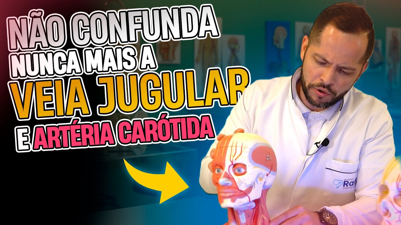 O Que é Jugular Na Anatomia