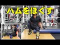 ストレッチポールでハムストリングスをほぐす【糸井トレーナー】