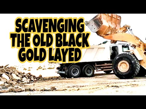 Thumbnail for SCAVENGING THE OLD BLACK GOLD LAYED by Savage Rivale Roadyacht GTS