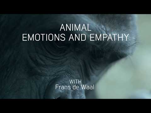 Animal emotions and empathy with Frans de Waal