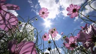 If Only You Knew (Yes cover)