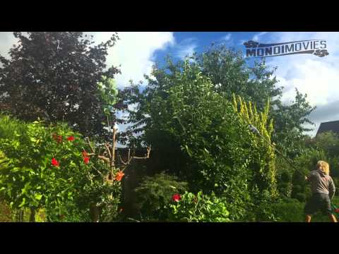 MY HARD ROCKING AMIGO