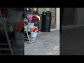 Shoplifting Seagull Steals A Meal ViralHog