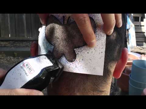 Hair Tattoo Experiment