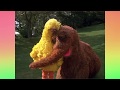 Follow That Bird Big Bird Says Goodbye