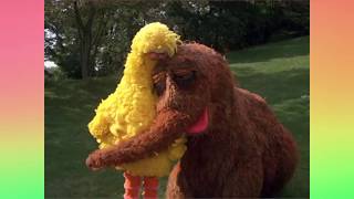 Follow That Bird: Big Bird Says Goodbye
