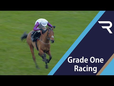 The next Denman? Hard not be impressed as Bravemansgame wins the MansionBet Challow Novices' Hurdle