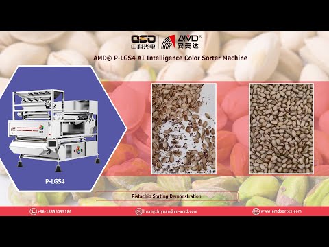 AMD® AI Optical Sortex P-LGS4 Tree Nuts Color Sorter Machine for Pistachio Shells Sorting/Processing