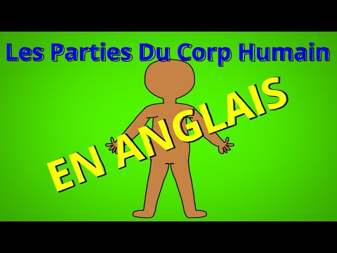 Parties du Corps Humain en Anglais