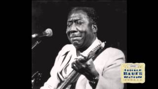 Muddy Waters - Rock Me (w/ Lyrics)