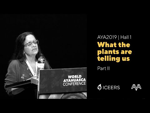 Vera Fróes Fernandes | What the Plants Are Telling Us