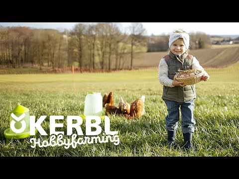 Keeping chickens in your own garden 🐤 Kerbl Hobbyfarming 2022