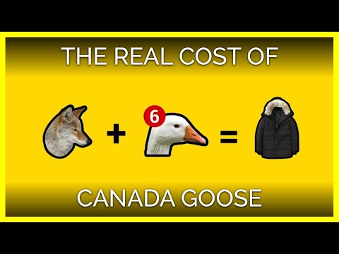 This is The Real Cost of a Canada Goose Jacket
