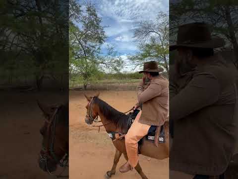 🌾 FAZENDA RIACHÃO – 1.500 HECTARES COM MAIS DE 5 KM DE BEIRA DE PISTA 🌾