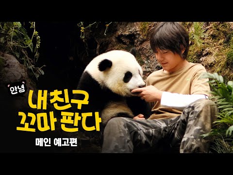 [안녕, 내 친구 꼬마 판다] 메인 예고편 예고편